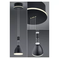 Lampy sufitowe - B-Leuchten Leni lampa wisząca LED 1-pkt. czarna - miniaturka - grafika 1