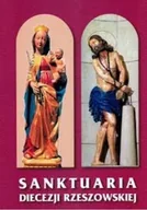 Religia i religioznawstwo - Sanktuaria Diecezji Rzeszowskiej - miniaturka - grafika 1