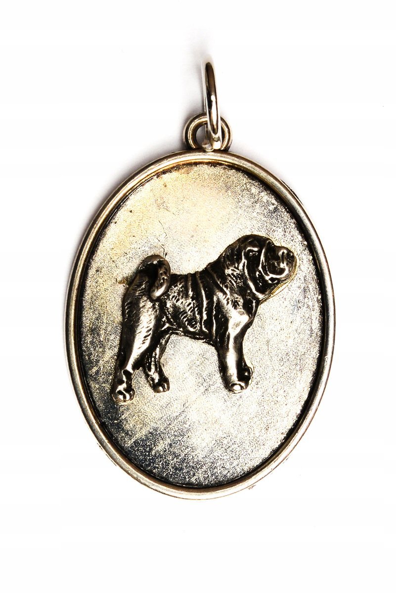 Shar Pei - naszyjnik z psem, wisiorek dla psiej mamy, unikatowa biżuteria m