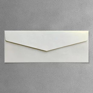 KOPERTA Z014 ecru metalizowana ozdobna (110x290mm) - Koperty - miniaturka - grafika 1