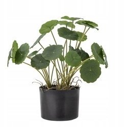 Bloomingville Copper Plante Zielony Sztuczne Kwiaty