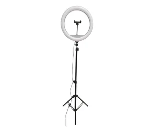 LED Ściemnialna lampa ze statywem i uchwytem do vlogowania LED/15W/5V 2700-6500K - Lampy stojące - miniaturka - grafika 1