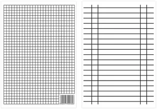 Liniuszek A4, kratka i linia - Druki akcydensowe - miniaturka - grafika 1