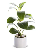 Sztuczne kwiaty - Ekskluzywna Roślina Dekoracyjna Sztuczna wys.25 cm - miniaturka - grafika 1