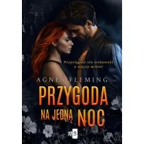 Przygoda na jedną noc - Romanse - miniaturka - grafika 1