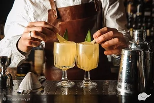 Restauracja eliksir Kurs barmański w Gdańsku - Vouchery - miniaturka - grafika 1