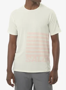 Koszulka do biegania Salomon Sense Aero S/S Tee GFX - icicle - Koszulki sportowe męskie - miniaturka - grafika 1