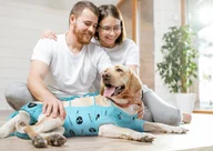 Ubranka dla psów - RecoWear Ubranko ochronne z jonami srebra rozm 8 - 52 cm - miniaturka - grafika 1