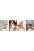 zeszyt a5/32k linia the sweet pets (10szt) - Zeszyty szkolne - miniaturka - grafika 1