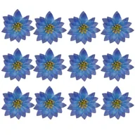 Zabawki kreatywne - [68yy0323] Poinsecja główka 6cm granatowa 12szt - miniaturka - grafika 1