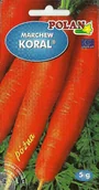 Nasiona i cebule - MARCHEW JADALNA KORAL 5G - miniaturka - grafika 1