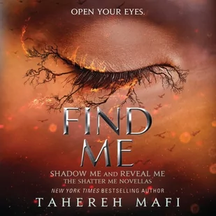 Find Me - Audiobooki obcojęzyczne - miniaturka - grafika 1