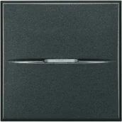 Sterowanie roletami - AXOLUTE - Łącznik jednobiegunowy 10AX (zaciski automatyczne) 2 moduły AXIAL antracyt Bticino HS4001M2AN - miniaturka - grafika 1