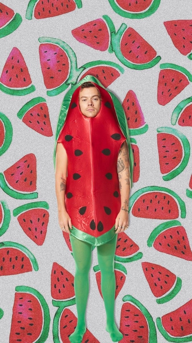 Naklejki na ścianę Harry Styles RETRO 91,5x61 cm #5