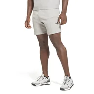 Spodenki męskie - Męskie Spodenki REEBOK RI ARCH LOGO SHORT HS9434 – Szary - miniaturka - grafika 1