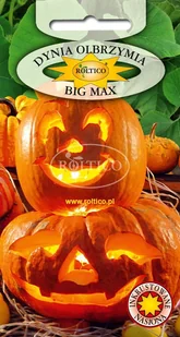 DYNIA OLBRZYMIA BIG MAX 3g - Nasiona i cebule - miniaturka - grafika 1