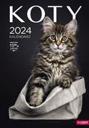 Kalendarze - Kalendarz 2024 Ścienny A3 Koty O-Press - miniaturka - grafika 1