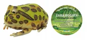 Zabawki do kąpieli - Żaba Rogata 22 Cm Długości - miniaturka - grafika 1