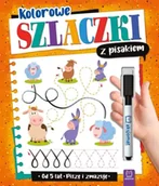 Książki edukacyjne - Kolorowe szlaczki z pisakiem Piszę i zmazuję 5 lat - miniaturka - grafika 1