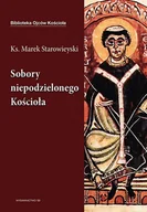 E-booki - religia - Sobory niepodzielonego Kościoła - miniaturka - grafika 1