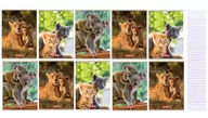 Zeszyty szkolne - Herlitz Zeszyt A5/16K linia podwójna Animals (10szt) - - miniaturka - grafika 1