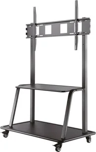 Neomounts Stojak podłogowy NS-M4000BLACK 60'' - 105'' - Uchwyty do telewizora - miniaturka - grafika 1