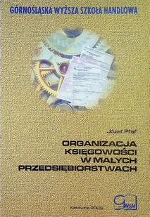 Organizacja księgowości w małych przedsiębiorstwach - Ekonomia - miniaturka - grafika 1
