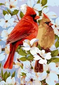 Malowanie po numerach - Kardynały wśród kwiatów - Malowanie po numerach 50x40 cm - miniaturka - grafika 1