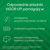 Witaminy i minerały - USP ZDROWIE SP. Z O.O USP ZDROWIE SP Z O.O Vigor UP Codzienna dawka witamin i energii 2 x 30 tabletek - miniaturka - grafika 1