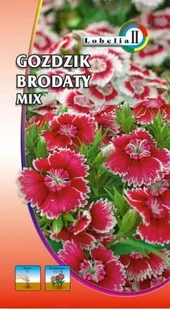 Goździk brodaty pełny mieszanka 1g / L / - Nasiona i cebule - miniaturka - grafika 1