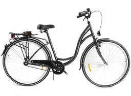 Rower Storm 26" AMSTERDAM Nexus 3-bieg grafitowy - Rowery - miniaturka - grafika 1