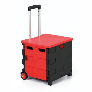 Składany wózek na zakupy 30L, nośność 30 kg, 2 koła pełne - Torby i wózki na zakupy - miniaturka - grafika 1