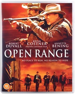 Bezprawie - Filmy akcji Blu-Ray - miniaturka - grafika 1