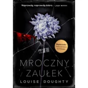 Kryminały - MROCZNY ZAUŁEK WYD KIESZONKOWE Louise Doughty - miniaturka - grafika 1
