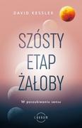 Zdrowie - poradniki - Szósty etap żałoby. W poszukiwaniu sensu - miniaturka - grafika 1