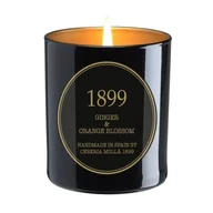 Świece - Cereria Molla - Świeca Premium 230 gr Ginger & Orange Blossom - miniaturka - grafika 1