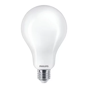 Philips Żarówka 23W (200W) Led E27 Zimne białe światło 6500K 3452lm - Żarówki tradycyjne - miniaturka - grafika 1