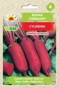 Nasiona i cebule - Burak ćwikłowy podłużny CYLINDRA Beta vulgaris L. - miniaturka - grafika 1