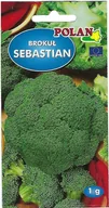 Nasiona i cebule - NASIONA Brokuł Sebastian 1g POLAN Wczesny Uprawa Wiosenna Jesienna 004107 - miniaturka - grafika 1
