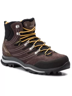 Buty trekkingowe męskie - Aku Trekkingi Alterra Gtx GORE-TEX 402 Brązowy - grafika 1