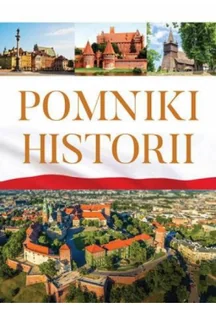 Pomniki historii - Książki o kulturze i sztuce - miniaturka - grafika 1