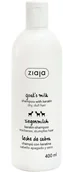 Szampony do włosów - Szampon wzmacniający Ziaja Leche De Cabra Shampoo Fortalecedor Con Keratina 400 ml (5901887035459) - miniaturka - grafika 1