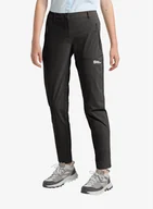 Spodnie narciarskie - Spodnie softshell damskie Jack Wolfskin Hikeout Pants - black - miniaturka - grafika 1