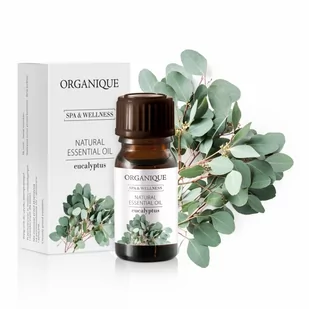 Olejek eteryczny Eukaliptusowy 7 ml 7 ml 7 ml - Kosmetyki do kąpieli - miniaturka - grafika 1