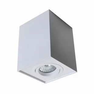 QUADRO SL 1 UP SPOT BIAŁY/WHITE 89200-WH - Lampy pozostałe - miniaturka - grafika 1