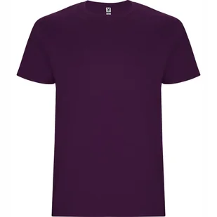 T-shirt Męski Koszulka Męska GRUBSZA BAWEŁNA ROLY 6681 FIOLET PURPLE 3XL - Koszulki męskie T-shirt Męski Koszulka Męska GRUBSZA BAWEŁNA ROLY 6681 FIOLET PURPLE 3XL - Koszulki męskie - miniaturka - grafika 1
