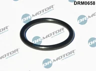 Układ zasilania - akcesoria - Uszczelnienie, wejście do turbiny (doładowanie) Dr.motor Automotive DRM0658 - miniaturka - grafika 1