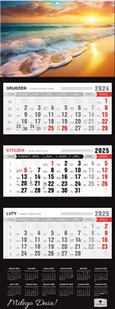Kalendarz 2025 trójdzielny premium ocean kt2âv.70 - Kalendarze - miniaturka - grafika 1