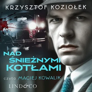 Nad śnieżnymi kotłami Krzysztof Koziołek - Audiobooki - kryminał, sensacja, thriller - miniaturka - grafika 1