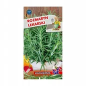 Nasiona i cebule - Rozmaryn lekarski 0,1g / O / - miniaturka - grafika 1